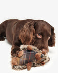 jouet-herisson-chien-barbour-dac0088br11-c