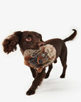 jouet-herisson-chien-barbour-dac0088br11
