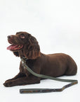 laisse-pour-chien-barbour-dac0101tn11-porte