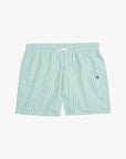 short-de-bain-raye-tommy-hilfiger-vert-homme-a-plat-face