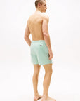 short-de-bain-raye-tommy-hilfiger-vert-homme-dos-porte