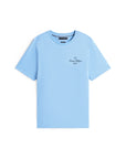 tshirt-homme-tommy-hilfiger-mw0mw39360c14-plat