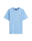 tshirt-homme-tommy-hilfiger-mw0mw39995c1z-plat
