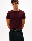 tshirt-homme-tommy-hilfiger-mw0mw39995xih