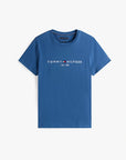 tshirt-tommy-hilfiger-homme-mw0mw11797dbz-plat