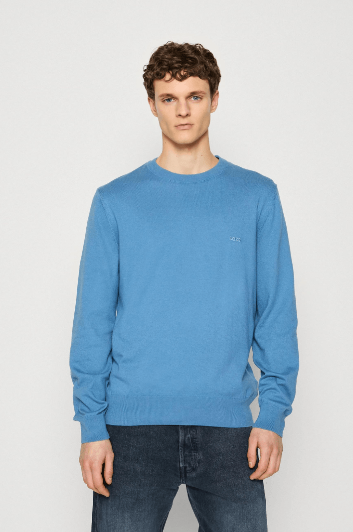 Pull BOSS bleu - Georgespaul