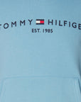 Sweat à capuche Tommy Hilfiger bleu en coton bio - Georgespaul