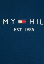 Charger l&#39;image dans la galerie, Sweat à capuche homme Tommy Hilfiger bleu en coton bio I Georgespaul
