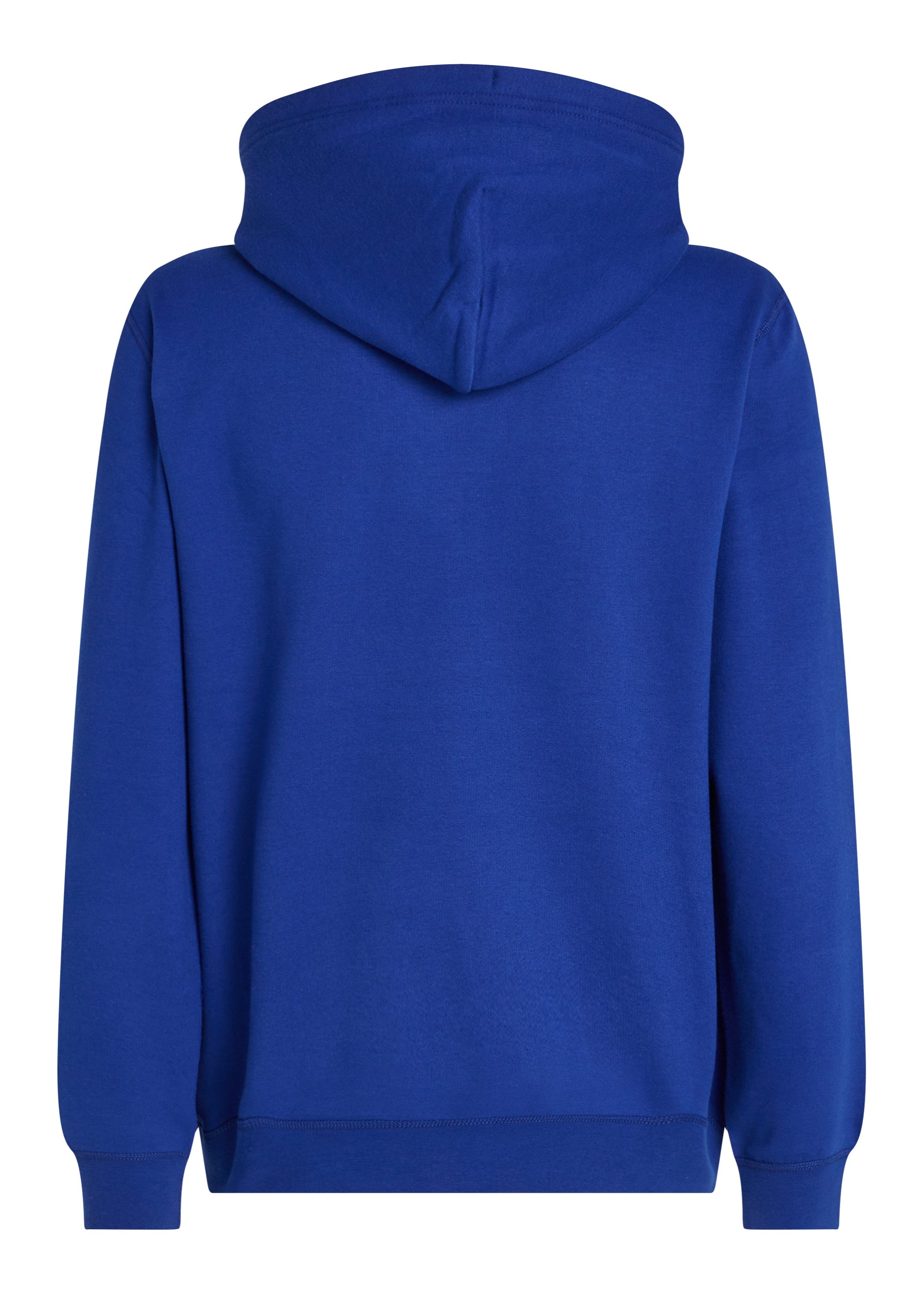 Sweat à capuche Tommy Hilfiger bleu foncé pour homme | Georgespaul