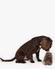 jouet-herisson-chien-barbour-dac0088br11-av