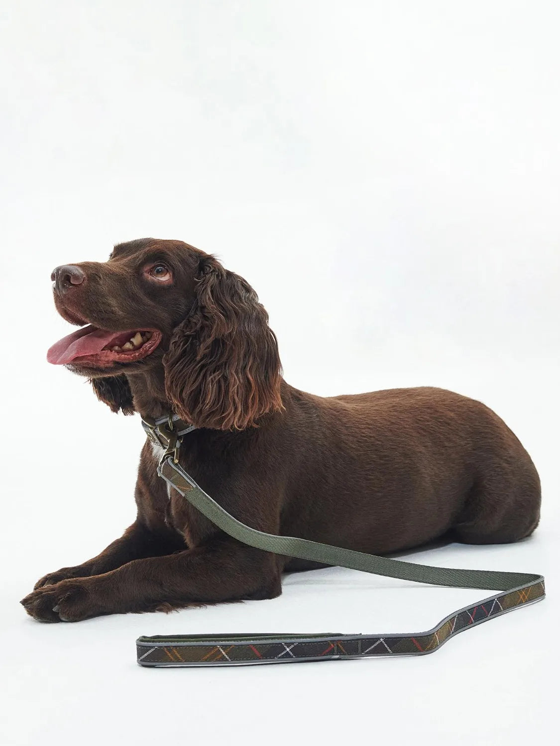 laisse-pour-chien-barbour-dac0101tn11-porte