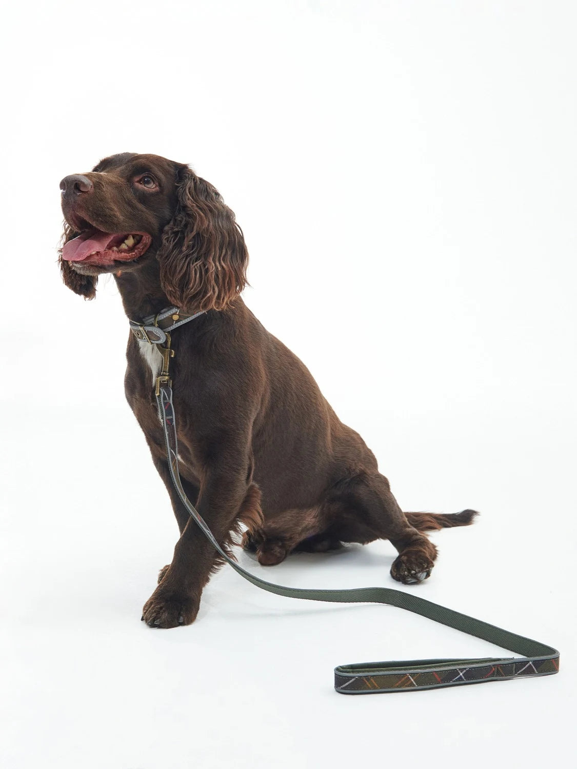 laisse-pour-chien-barbour-dac0101tn11