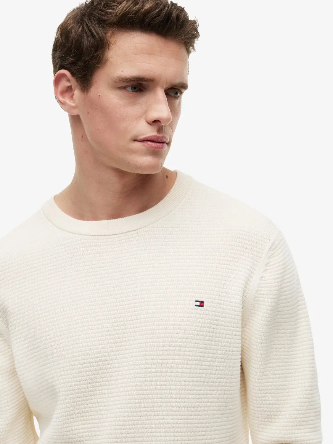 pull-tommy-hilfiger-homme-ecru-MW0MW42799Z00-zoom
