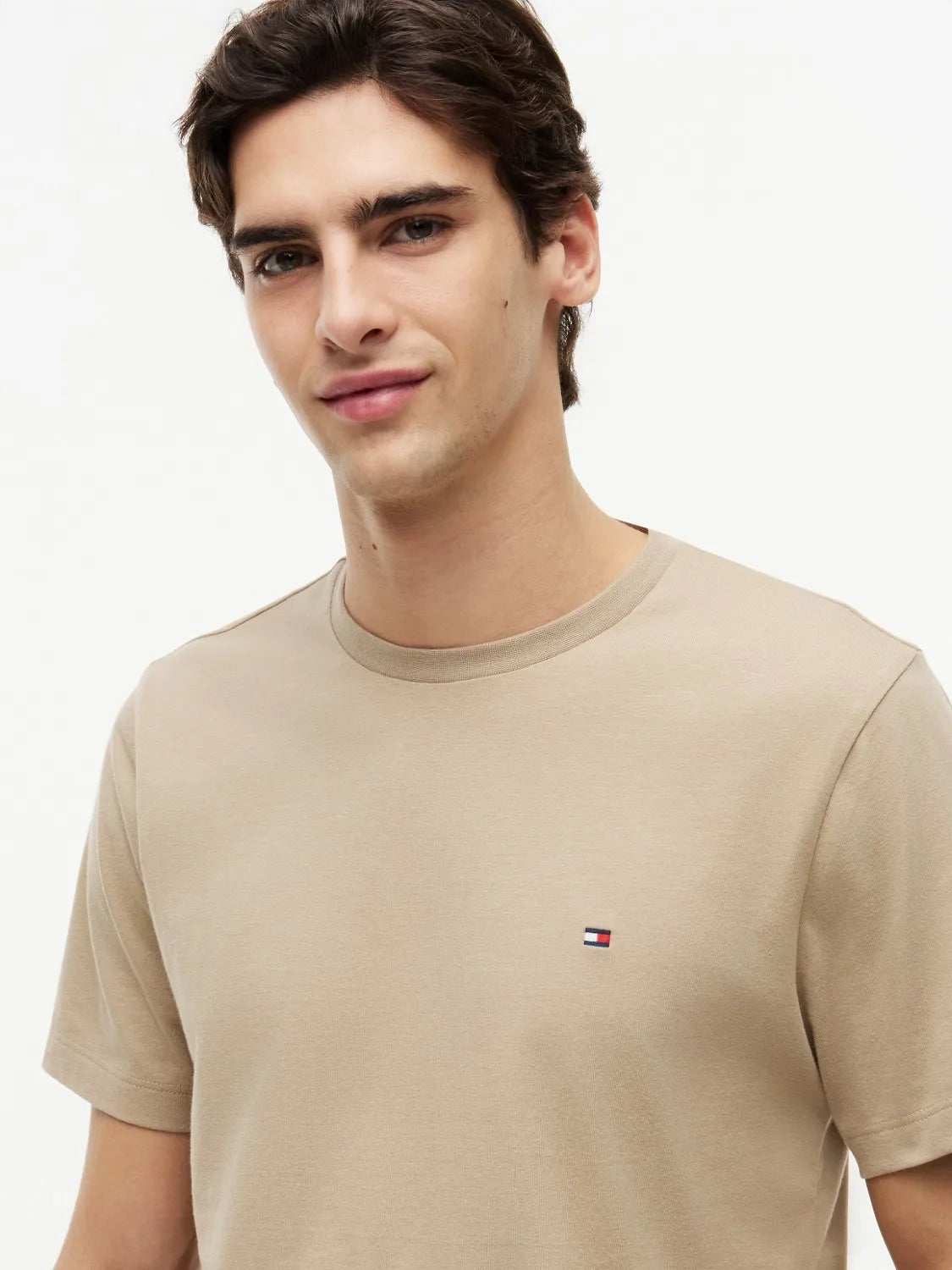 tee-shirt-tommy-hilfiger-beige-homme-MW0MW39995AEG-zoom