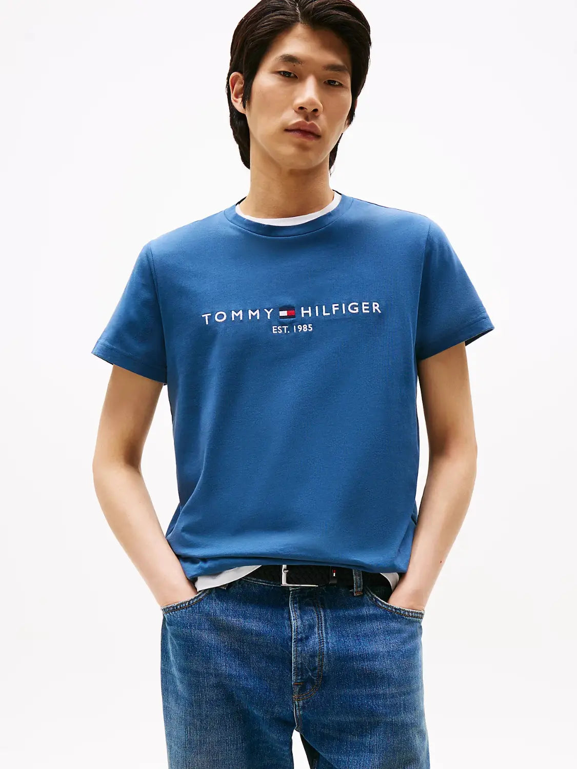 tshirt-tommy-hilfiger-homme-mw0mw11797dbz