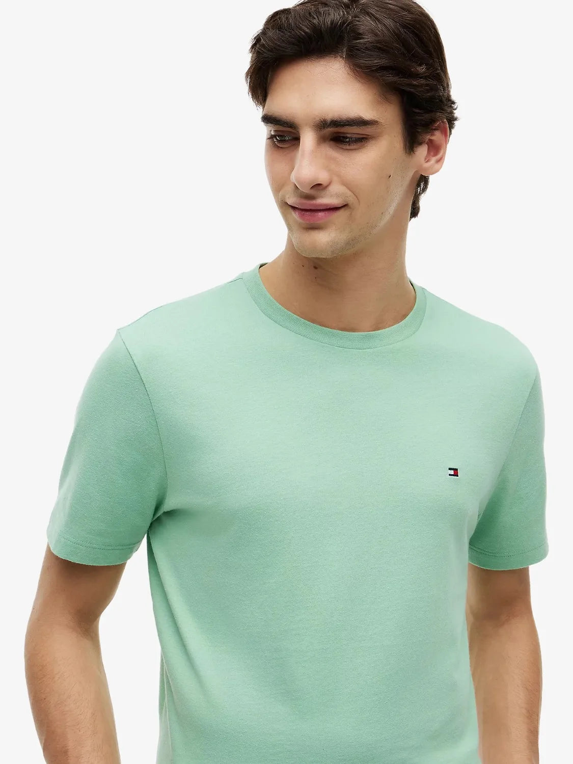 tshirt-tommy-hilfiger-vert-homme-MW0MW39995L1A-zoom
