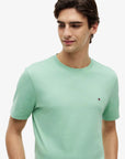 tshirt-tommy-hilfiger-vert-homme-MW0MW39995L1A-zoom