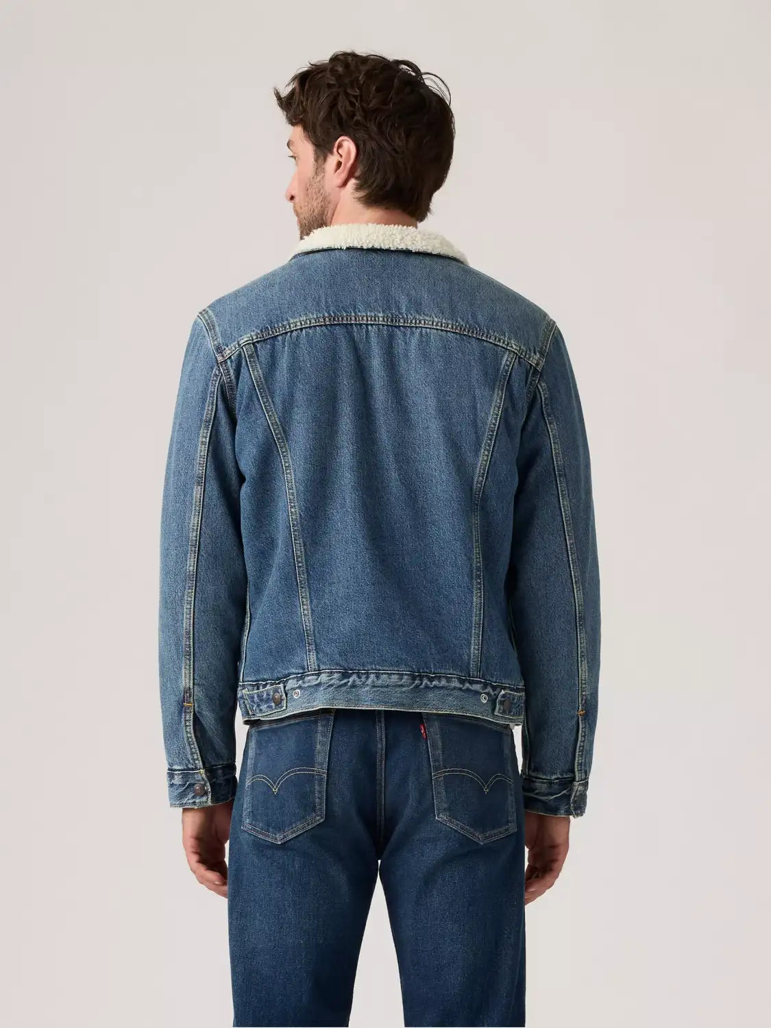 veste-sherpa-homme-levis-163650292-dos
