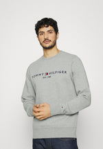 Charger l&#39;image dans la galerie, Sweat col rond homme logo Tommy Hilfiger gris en coton bio | Georgespaul
